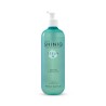 Shiniq Daily Rebalancing Cleansing Gel 400 ml