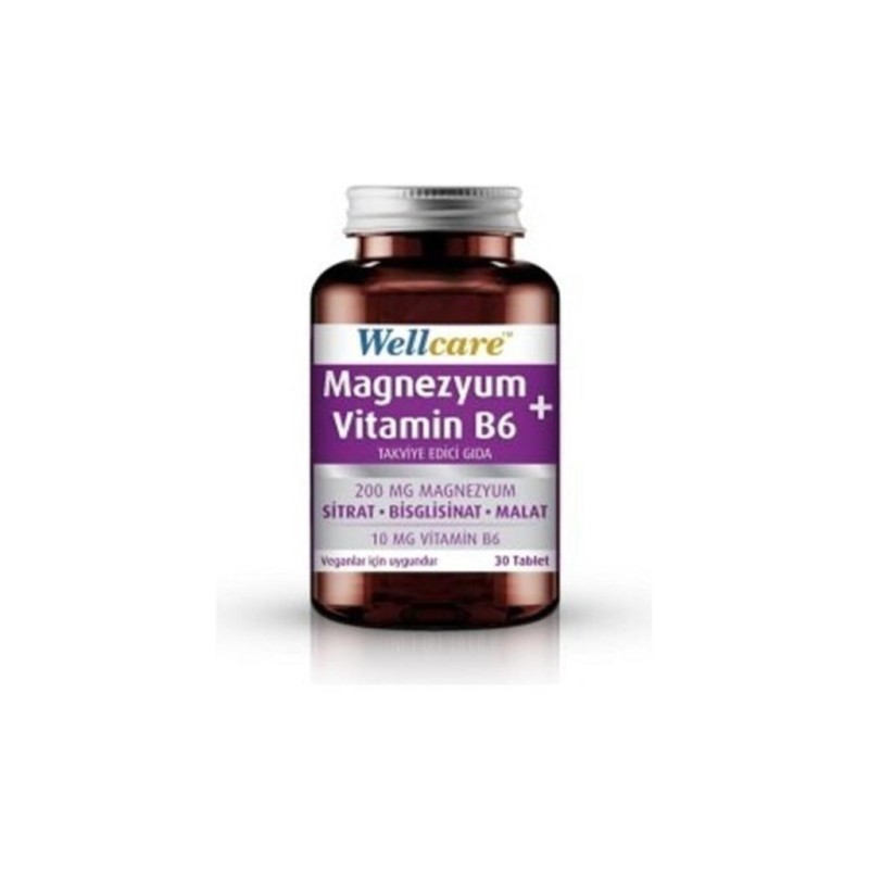 Wellcare Magnezyum + Vitamin B6 30 Tablet