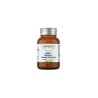 Venatura Ester-c Vitamin C Takviye Edici Gıda 60 Kapsül