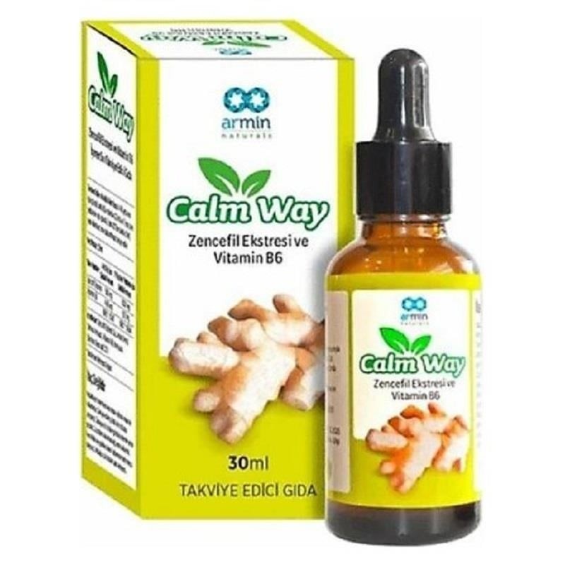 Armin Calm Way Zencefil Vitamin B6 Damla 30 ml Armin Calm Way Zencefil Vitamin B6 Damla 30 ml