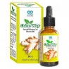 Armin Calm Way Zencefil Vitamin B6 Damla 30 ml Armin Calm Way Zencefil Vitamin B6 Damla 30 ml