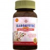 Solgar Kangavites Multivitamin & Mineral 60 Tablet Solgar Kangavites Multivitamin & Mineral 60 Tablet